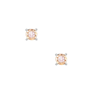 Blush Stelle Stud Earrings