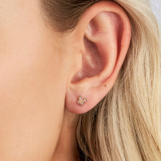 Blush Bindi Earrings