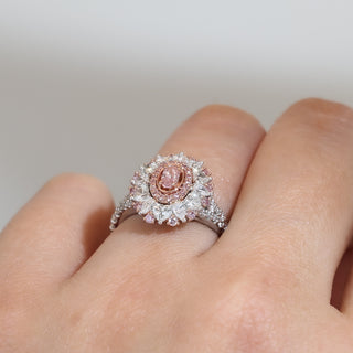 Boronia Ring