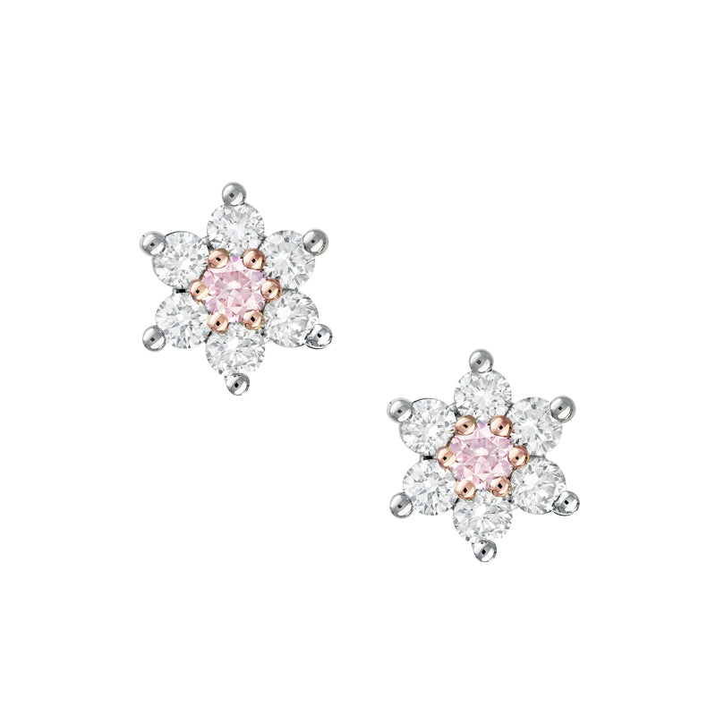 Kimberley Stella Stud Earrings